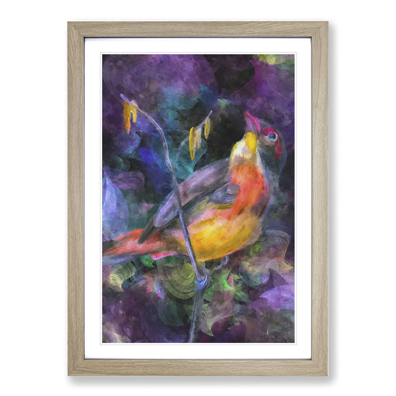 Colourful Bird - Picture Frame Graphic Art, Oak Framed, 48cm H x 36cm W x 2cm D