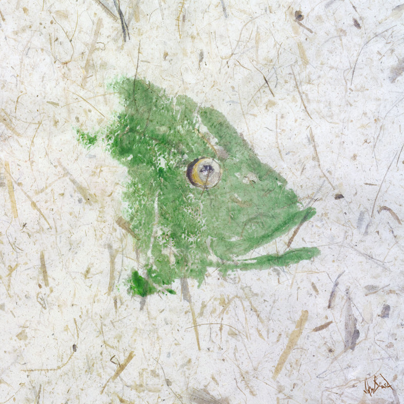 Snapper Green Print, 22" H x 22" W x 3" D