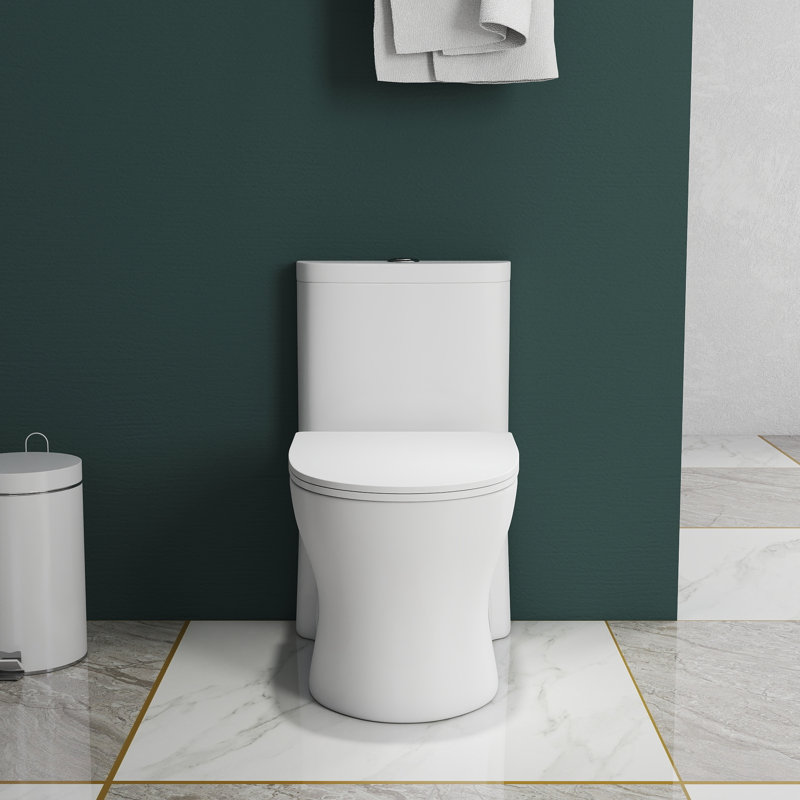 Toilette allongée une pièce brute 12 po, double chasse au sol en céramique blanche
