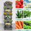 Ensemble de jardinières verticales Strawberry-125530080