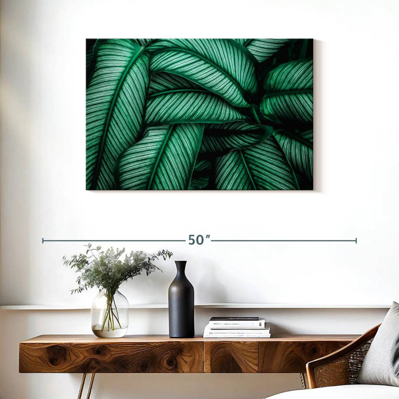 Harnek vert Calathea feuilles, H 24 po x l 36 po