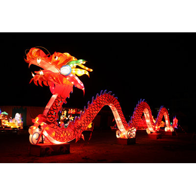 Dragon Dragon - photographie sur toile tendue