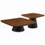 Ensemble de tables basses 2 pièces Duncan
