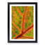 Map of a Leaf - Picture Frame Painting Print-56738137-56738140