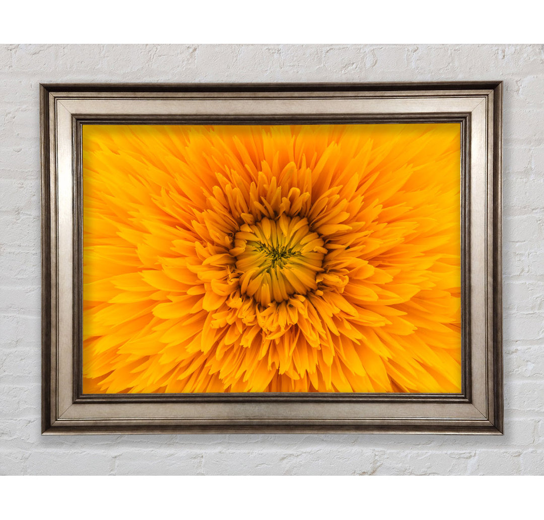 Gorgeous Yellow Flower Delight - Einzelner Bilderrahmen Kunstdrucke