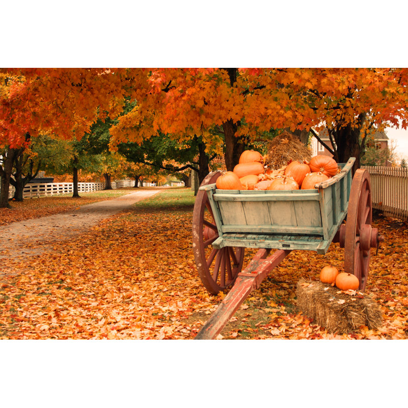 Fall Colors And Pumpkins by Sue Hardesty - Wrapped Canvas Print, 30cm H x 46cm W x 3.8cm D