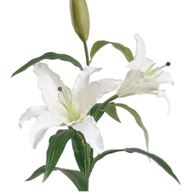 Arrangement de lis Rudolph