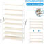 12 paires d'accents-1075431341