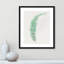 Delicate Botanical II '- Reproduction d'art sur papier encadrée-55038369-55038377