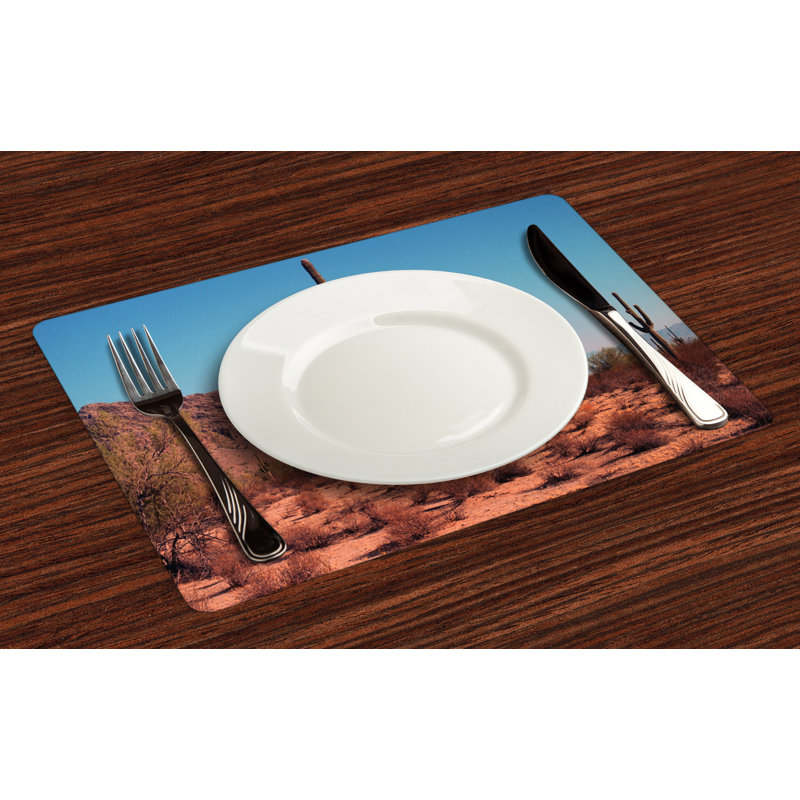 Récapitulatif 18,5" saguaro