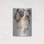 «Pug And Ghost» par Barbara Keith-647078852