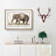 Asian Elephant by A.B. De Boodt - Picture Frame Painting Print-55686674-55686678