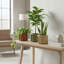 Pot rond Strata SM-1279880916-1279880904