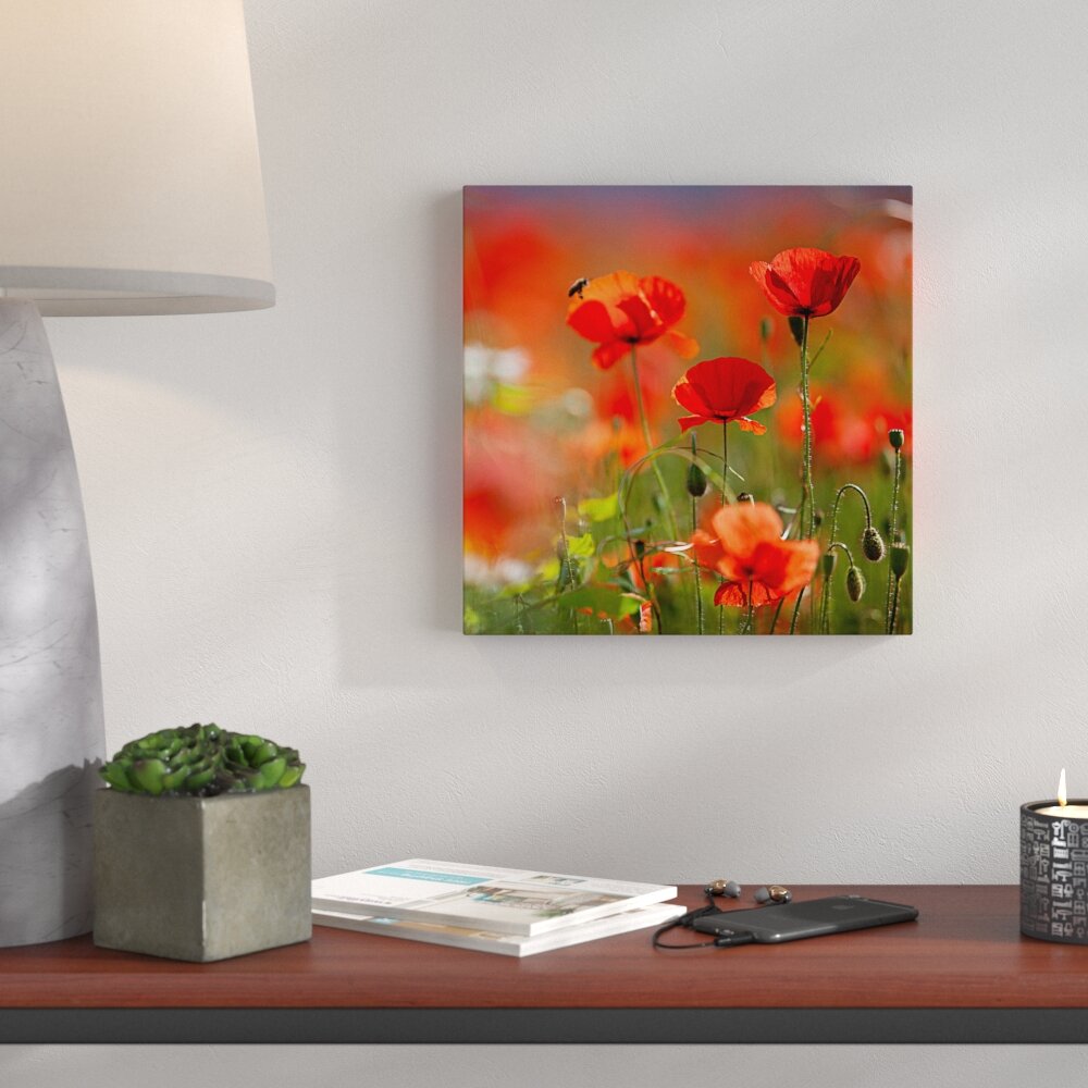 Glasbild Orange Poppies II