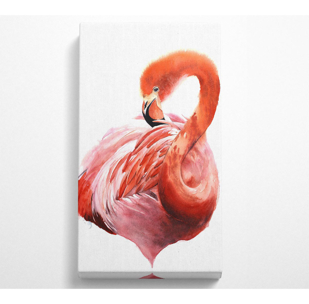 Flamingo Bräutigam - Panoramakunstdrucke auf Leinwand gerollt