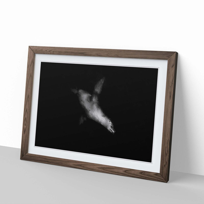 Sea Lion - Picture Frame Painting Print, Walnut Framed, 48cm H x 65cm W x 2cm D