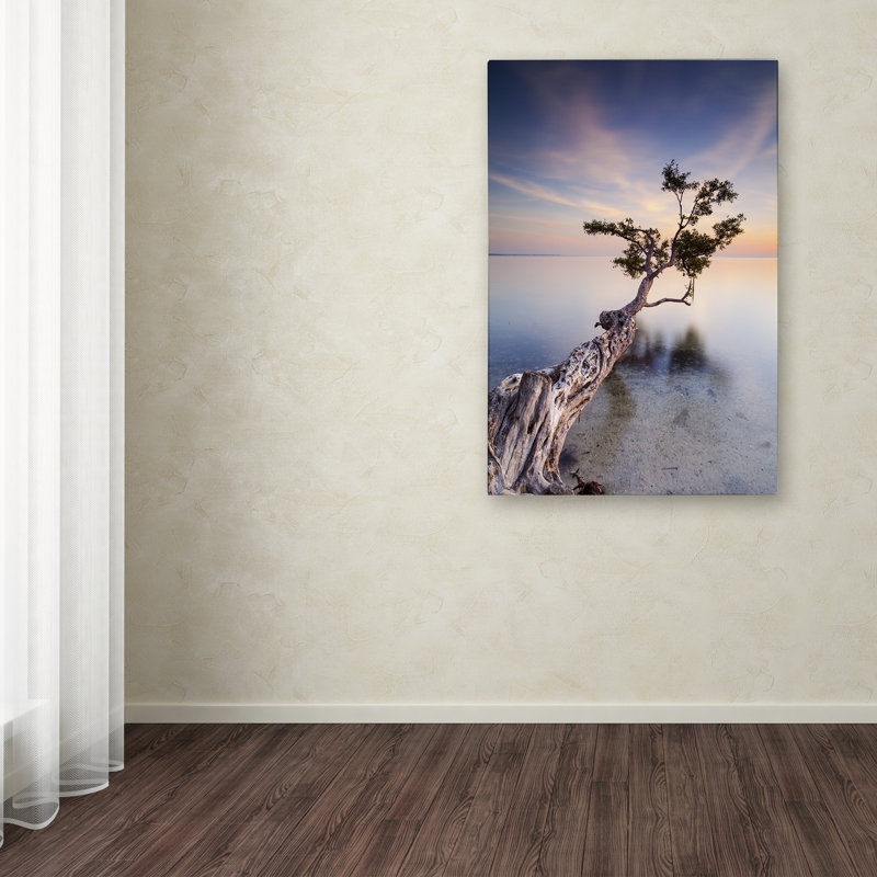 « water tree x » par moises perception, reproduction de photo sur toile tendue, H 19 po x l 12 po x P 2 po