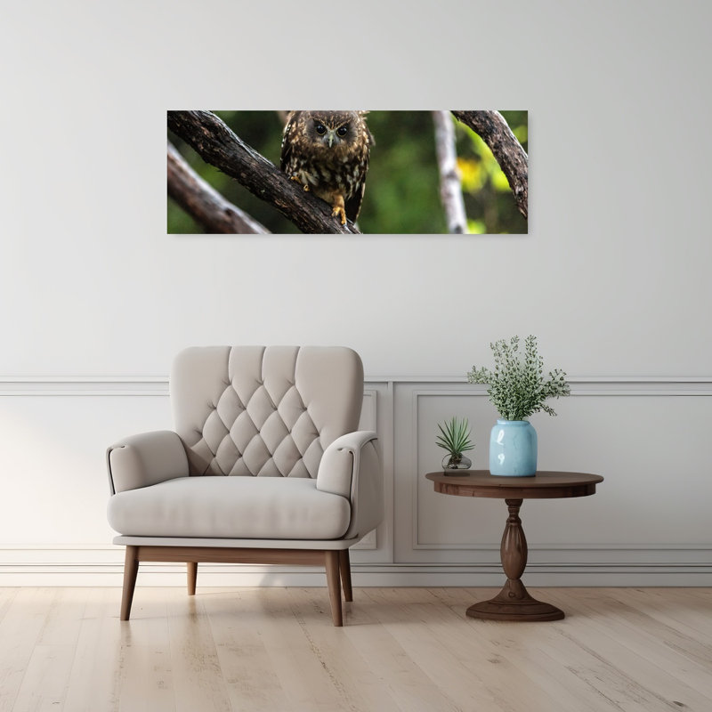 Oiseau hibou contemporain, H 12 po x l 36 po