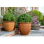 Norman Planter-14486366
