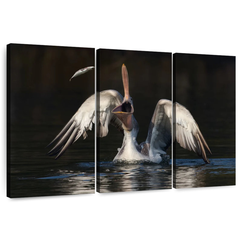Pelican Alignment, 36" H x 57" W