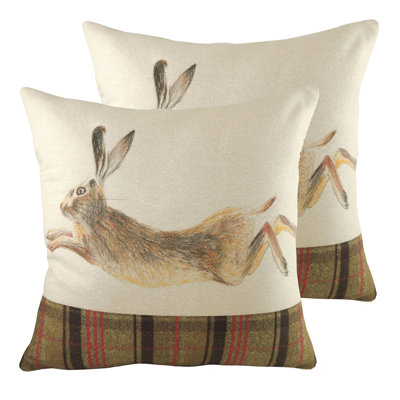 Cushion