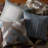  Square 100% Cotton Pillow Cover & Insert-264494862-264494869-264494868