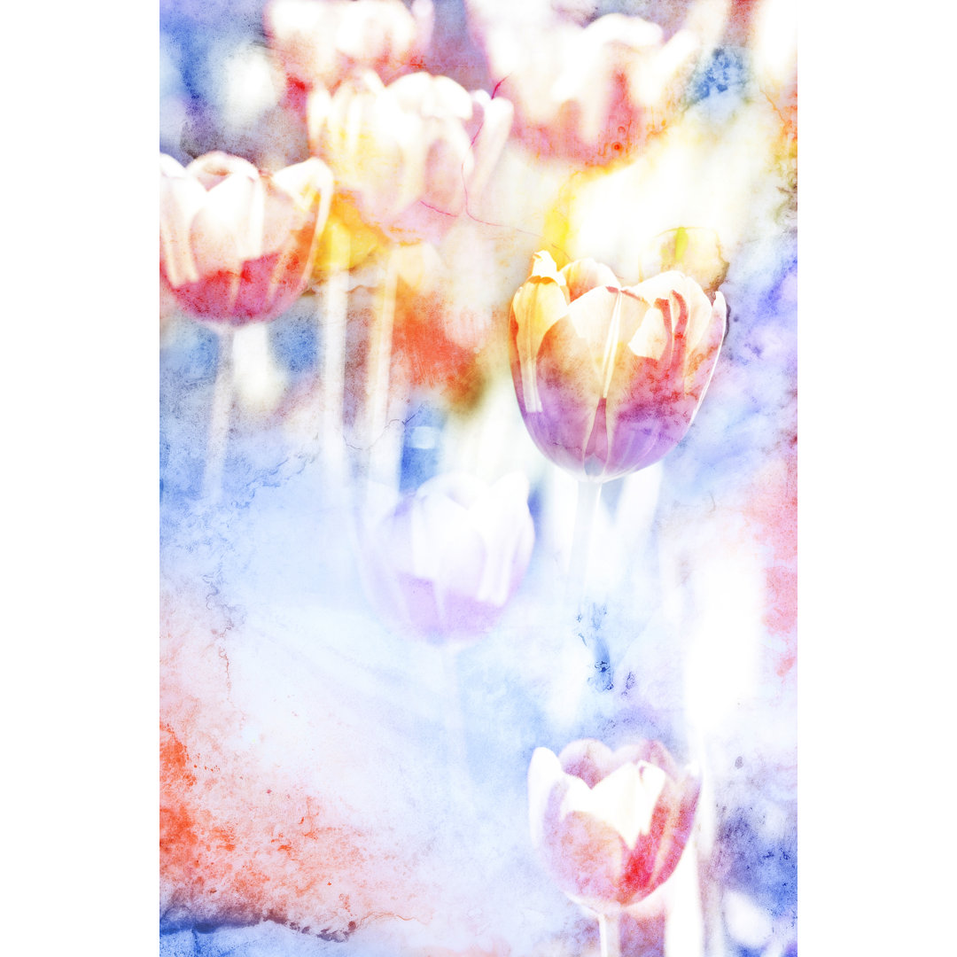 Blume Aquarell Illustration - Druck