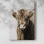 Highland Portrait II - Galeria Cavas-416698071