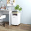 Makenzlie 33cm Wide File Cabinet-1184897536