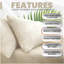 Standard - Set of 2-118762777