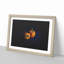 Orange Bell Peppers - Picture Frame Painting Print-55581409-55581413