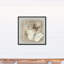 «Neutral Butterflies», reproduction sur toile-612335864
