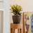 Abiella Pot Planter-745407032-777293748-776790348