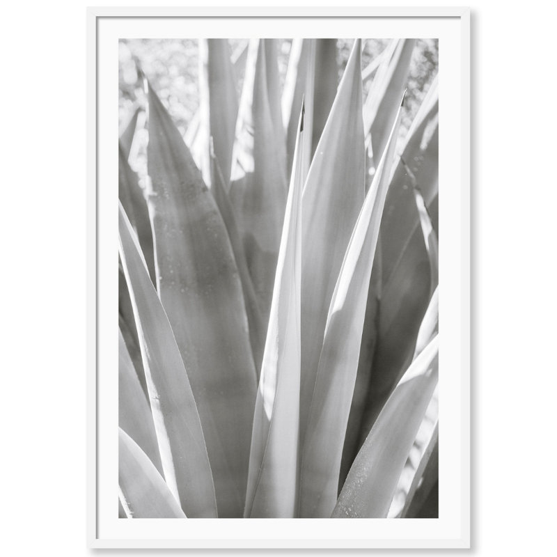 Muted Cactus Print by Carly Tabak, White Wood, 31" W x 44" H
