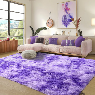 Shag Rug Soft Fluffy -Indoor Area Rug for Living Room Bedroom Nursery Kids Room