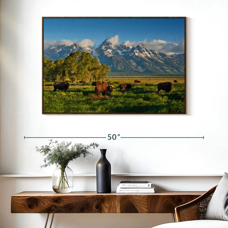 Bison de Grand Teton, Cadre flottant noyer, 40 po x 27 po