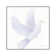 Easter Blessing Dove I by Kathleen Parr McKenna - Print on Canvas