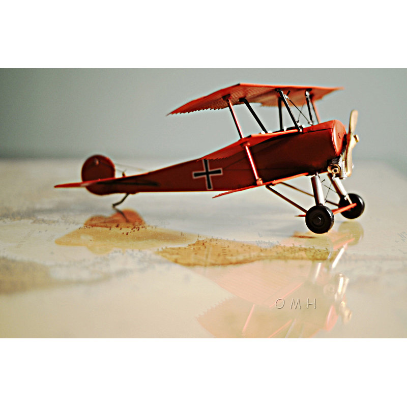 1917 Baron Fokker Triplan