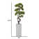 64.6'' Artificial Bonsai Tree In A Square Beige Fiberstone Planter Perfect For Indoor And Outdoor Use