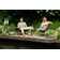 Toquerville 3 Piece Rattan Seating Group