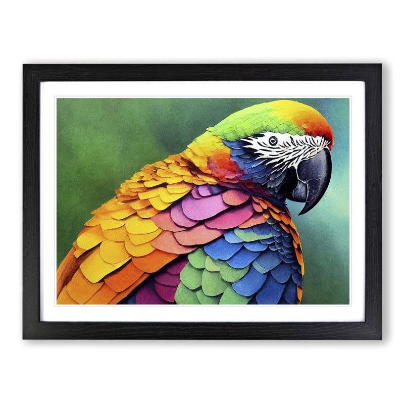 Colourful Parrot Vol.3 - Single Picture Frame Print, Black Framed, 34cm H x 46cm W x 2cm D