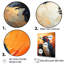 «Curious Penguins Snowy Wonders I», reproduction sur toile-1685547991-1685547990