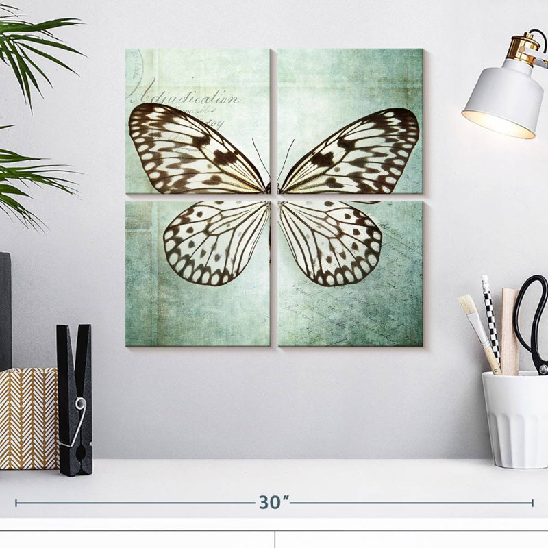 Brampt papillon français VI, H 18 po x l 18 po