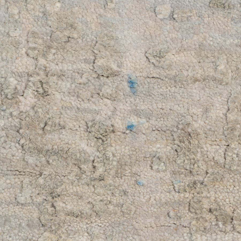Contemporary Hand Knotted Wool Oriental Rug