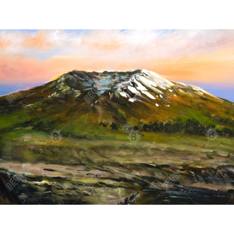 Mountainous View Braided Polyester Placemats Set of 4 Decor
