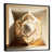 Gold Floater Framed Canvas