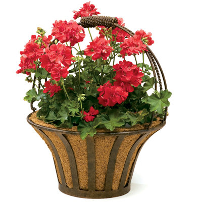 Solera Metal Pot Planter