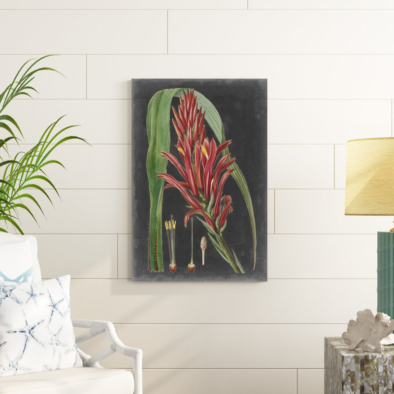 Dramatic Tropicals II, H 36 po x l 24 po x P 1,25 po