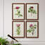 «Pretty Pink Botanicals II», toile encadrée de qualité supérieure - prête à être accrochée-1603343132-1603343126
