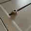 Photos des clients 2 de 2